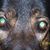 D.l. Watkins's profile image