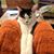Sandra Thomsen Hogan's profile image