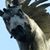 Syd Campbell's profile image