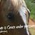 Kim Shellenberger Best's profile image