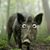 Karol Carlos Moreno's profile image