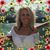 Cyndy Johnson's profile image