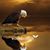 Robert Sheye Breaux's profile image