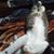 Robin Hardesty's profile image