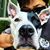 Elvine Weng's profile image