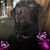 Shirley Jedynak's profile image