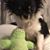 Gayla Graham Hensley's profile image