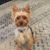 Ellyn Adams McKenna's profile image