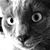 John Kyle's profile image