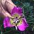 Cathy Hinojosa's profile image