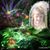 Sherry Snow Burnette's profile image