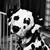 Sue MacMillan's profile image