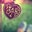 Alix K.'s profile image