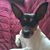 Mona McFadden's profile image