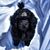 Kendra Woody Machen's profile image