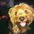 Frank McKenna's profile image