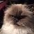 Lorre Jordan's profile image