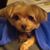 Sharon Boyce's profile image