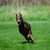 Nicole Baron's profile image