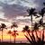 Lovelle Donahue's profile image