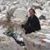 Rachel Singel's profile image