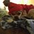 Christine Corbin's profile image