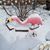 Molly Zumwalt Gardner's profile image