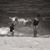 Natanya Phipps-Williams's profile image