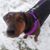 Kim Miller's profile image