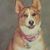 Alyssa Roberts's profile image