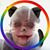 Heidi Harris's profile image