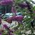Kimberly Ulrich's profile image