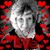 Chris Koci's profile image