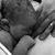 Ellen Mulvey's profile image
