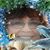 Sue Chumley's profile image