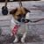 Alan Visitacion's profile image