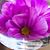 Deb Lawton's profile image