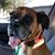 Lisa McCoy Hudson's profile image