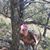 Regina Baggett-Nelson's profile image