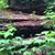 Lori Boyd's profile image