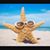 Lisa N Danny Price's profile image