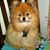 Lynda Meadows Spence's profile image