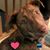 Suzanne Heber's profile image