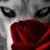 Angela Thomas's profile image