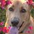 Cindy Hays's profile image