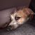 Laura Davis Ferris's profile image