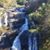 Fran D'Ascoli's profile image