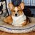 Connie A. Morris's profile image