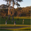Karen M Martin's profile image