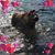 Tammy Romano's profile image